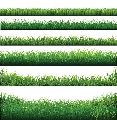 Green Grass Big Borders Collection, Isolated  Background, Vector Illustration