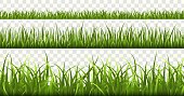Green grass borders. Football field, summer meadow green nature, panorama herbs spring macro elements, lawn land grass isolated vector frame set