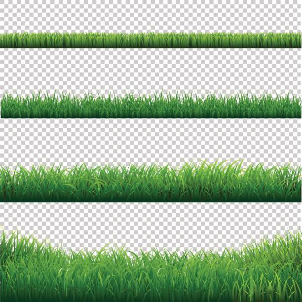 Green Grass Borders Set Green Grass Borders Set, Vector Illustration grass borders stock illustrations