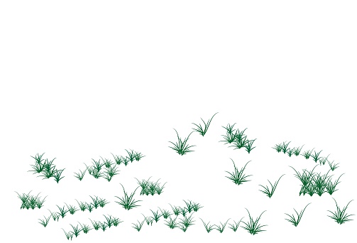 Green grass groups on white background