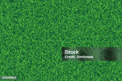 istock Green grass realistic textured background. 1208399813