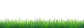 Vector green realistic seamless grass border isolated on white background. This illustration is designed to make a smooth seamless pattern if you duplicate it horizontally to cover more space.