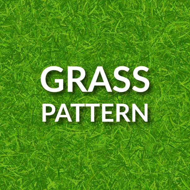Green grass seamless pattern. Green grass seamless pattern. Vector background EPS 10 grass patterns stock illustrations