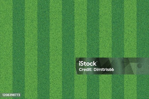istock Green grass striped realistic textured background 1208398773