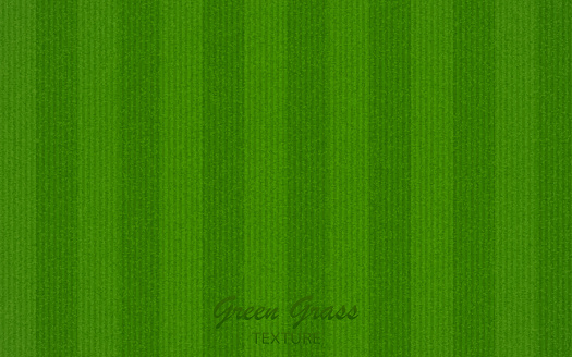 Green grass texture vector background EPS10