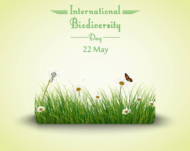 grünes gras mit blumen und schmetterlinge isoliert-hintergrund - biodiversität stock-grafiken, -clipart, -cartoons und -symbole