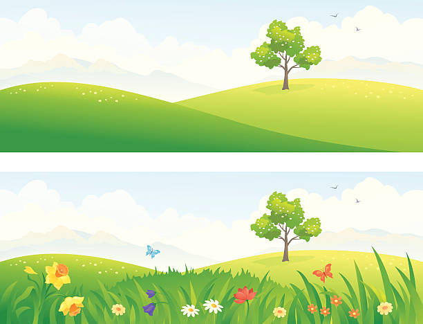 Green hills Vector illustration of beautiful green and blooming hills. grass clipart stock illustrations