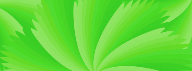 緑の葉の抽象的な背景テクスチャパターンを光線と太陽のビームベクトルとイラストグラフィックデ息のモダンなスタイルの風景パノラマ - 木漏れ日　影点のイラスト素材／クリップアート素材／マンガ素材／アイコン素材