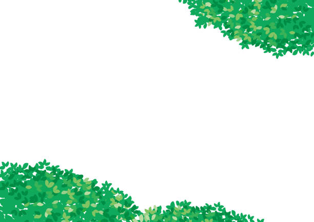 白い背景に緑の休暇 - 木漏れ日点のイラスト素材／クリップアート素材／マンガ素材／アイコン素材