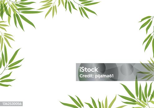 istock Green leaves frame on white background 1362530056
