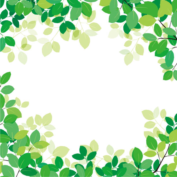 白い背景に緑の葉 - 木漏れ日点のイラスト素材／クリップアート素材／マンガ素材／アイコン素材
