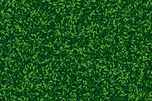 Green foliage. The eps file is organised into three layers for the background, the back and front leaves. This illustration is designed to make a smooth seamless pattern if you duplicate it vertically and horizontally to cover more space.
