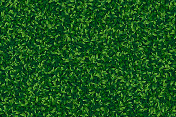 Green leaves realistic seamless background Green foliage. The eps file is organised into three layers for the background, the back and front leaves. This illustration is designed to make a smooth seamless pattern if you duplicate it vertically and horizontally to cover more space. grass backgrounds stock illustrations