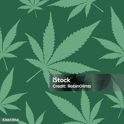 istock Green Marijuana Seamless Pattern 826613544
