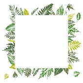 Green organic frame of different leaves for flyer, invitation, banner, card.