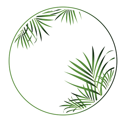Green palm branches in round frame.