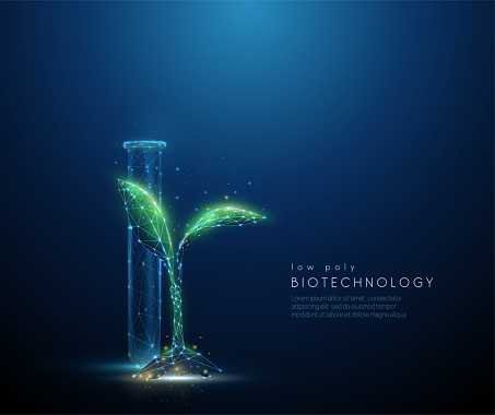 Green plant sprout and tube Biotechnology concept. Low poly style design. Abstract blue geometric background Wireframe light connection structure Modern 3d graphic concept Isolated vector illustration