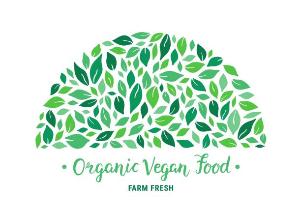 ilustrações de stock, clip art, desenhos animados e ícones de green salad leaves semi-round pattern. organic vegan food hand drawn lettering text inscription - emblem food label