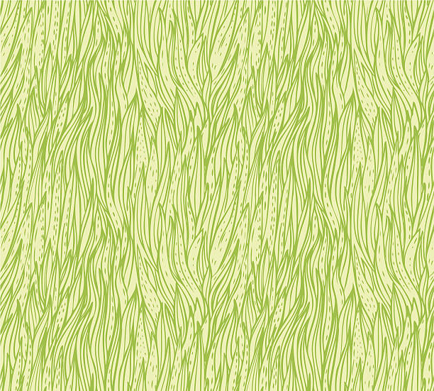 Green seamless grass vector patterned background http://img-fotki.yandex.ru/get/5818/17847637.58/0_72b60_62dfd6c2_orig grass designs stock illustrations