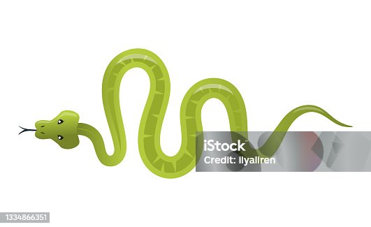 istock Green snake - creative, modern cartoon style object 1334866351