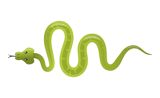 Green snake - creative, modern cartoon style object