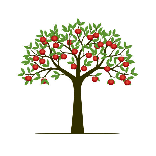 緑の春のツリーと赤リンゴ。ベクトルの図。 - リンゴの木点のイラスト素材／クリップアート素材／マンガ素材／アイコン素材