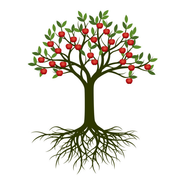 緑の春ルートと赤りんごの木。ベクトルの図。 - リンゴの木点のイラスト素材／クリップアート素材／マンガ素材／アイコン素材