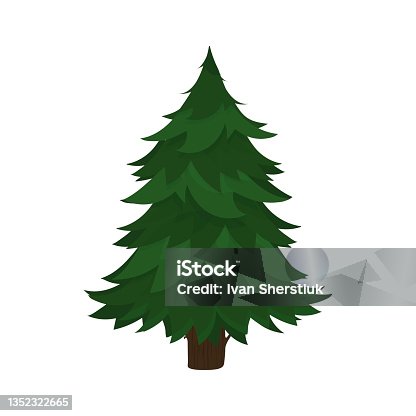 istock Green spruce isolated on white background. Pine tree in a flat style. Vector. 1352322665