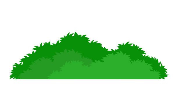 зеленый стилизованный куст значок - куст stock illustrations