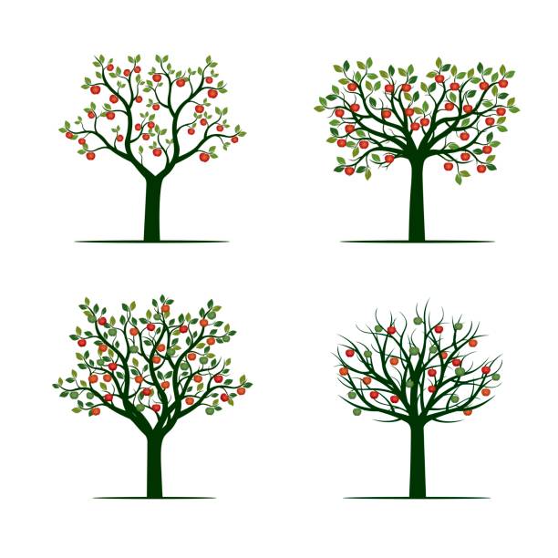 赤いリンゴとグリーン ツリー。ベクトルの図。 - リンゴの木点のイラスト素材／クリップアート素材／マンガ素材／アイコン素材