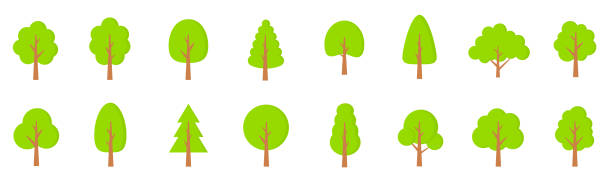 bildbanksillustrationer, clip art samt tecknat material och ikoner med gröna träd som. platt stil. platt skog träd ikon - lager vektor. - svenska pengar