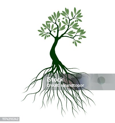 Free Download Of Olive Garden Restaurant Vector Graphic