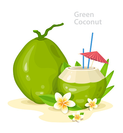 Green Young Coconuts. Fresh Coconut Cocktail with Plumeria Flowers, straws and Umbrella. Summer Time Vacation Attribute. Banner Design Concept with Place for Text. Vector Illustration