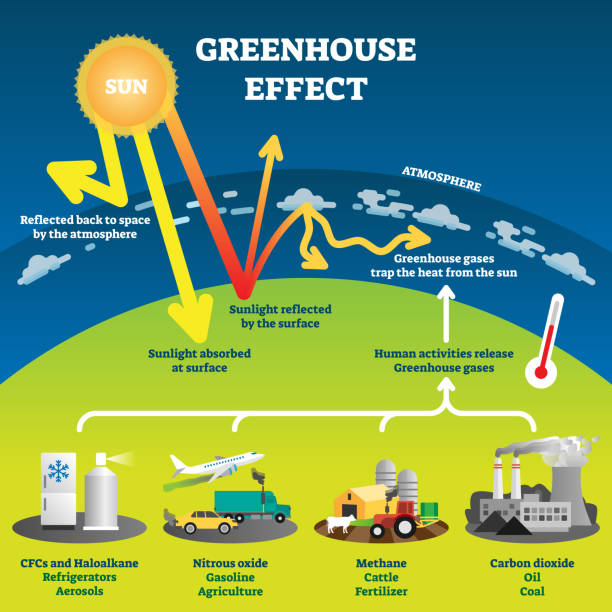 Greenhouse effect vector illustration diagram Greenhouse effect vector illustration diagram. Environment pollution problem and fighting climate change. Informational infographic for education and rising awareness. Human industrial activity issue. climate change stock illustrations