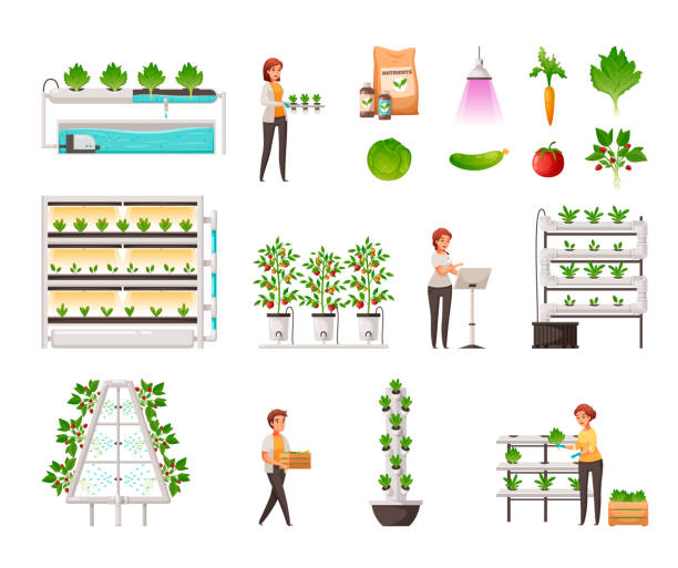 Greenhouse Farming Set Greenhouse farming set with vertical hydroponics and aeroponics symbols cartoon vector illustration hydroponics stock illustrations