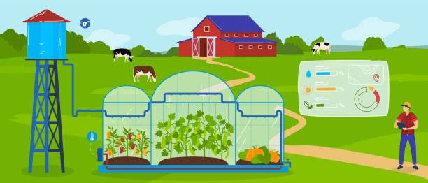 illustrazioni stock, clip art, cartoni animati e icone di tendenza di greenhouse moderna tecnologia agricola illustrazione vettoriale, cartone animato paesaggio agricolo, intelligente sistema di serra automatizzato - software agricoltura irrigazione
