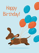 Greeting birthday card template. Cute dachshund run in love mood with air balloons isolated on blue background.