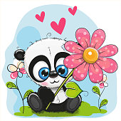 Greeting card cute Panda with flower and hearts