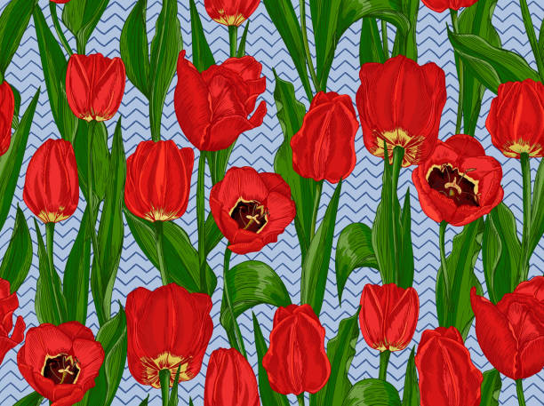Greeting seamless with Spring flower tulips bouquet in red and green...