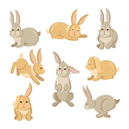 Grey and brown cartoon rabbit and hare characters set