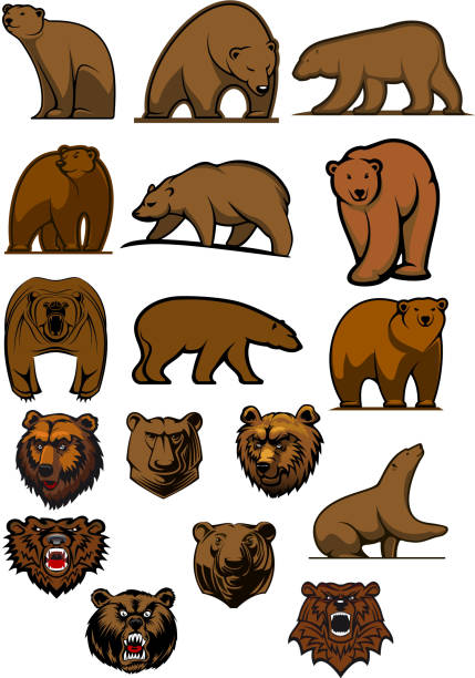 Grizzly and brown bear characters Cartoon brown bears and grizzly in different poses and aggressive bear heads for tattoo, mascot or wildlife design bear growling stock illustrations