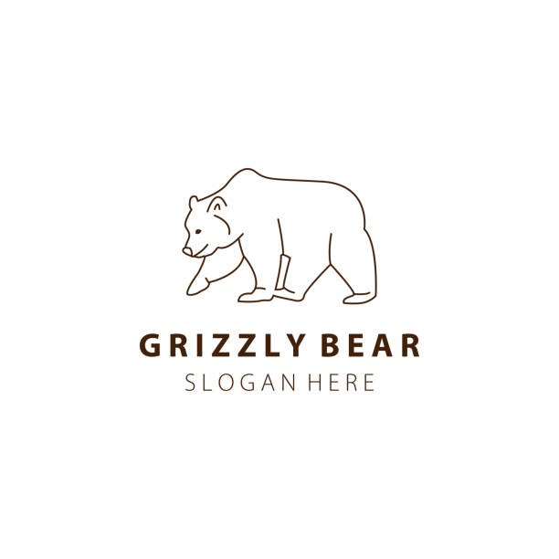 ilustraciones, imágenes clip art, dibujos animados e iconos de stock de línea de oso grizzly arte logotipo ilustración diseño de plantilla vectorial - alaska