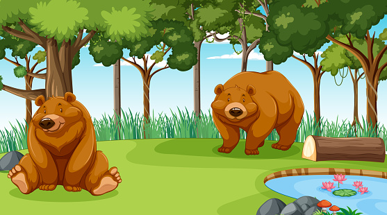 Grizzly bear or brown bear in forest or rainforest scene with many trees