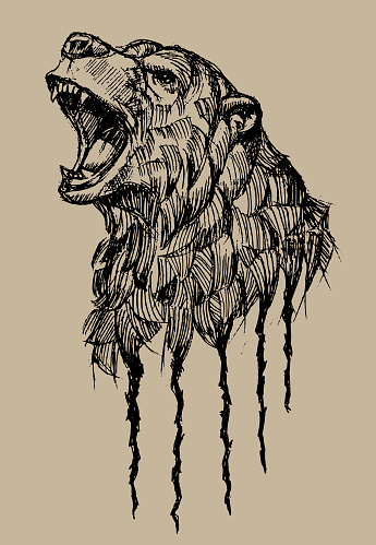 Grizzly Bear Sketch