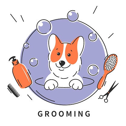 Grooming 23