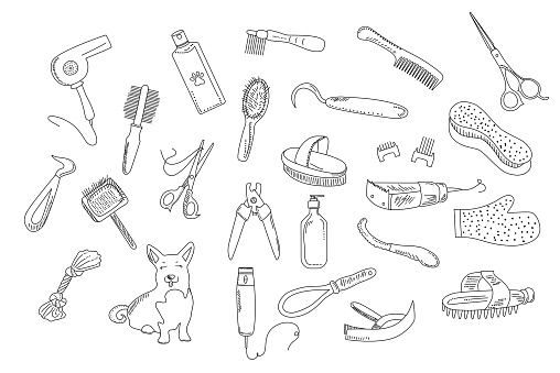 Grooming tools for dog`s fur and nails care.Vector set in doodle style.Outline vet equipment.Online pet shop or store.Ordering goods for domestic animal from home.