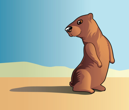 Groundhog sees his shadow