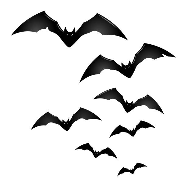 Group of Black Flying Bats Group of black flying bats isolated on white, halloween illustration bat stock illustrations