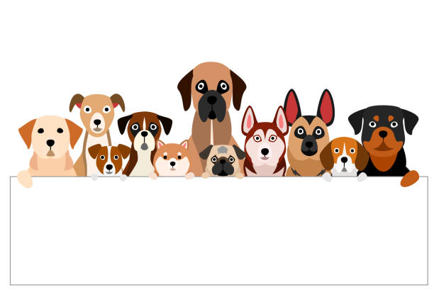 illustrazioni stock, clip art, cartoni animati e icone di tendenza di gruppo di cani brunastro con tavola bianca - allevatore