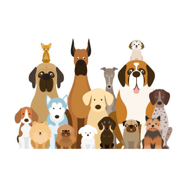 Group of Dog Breeds Illustration vector art illustration